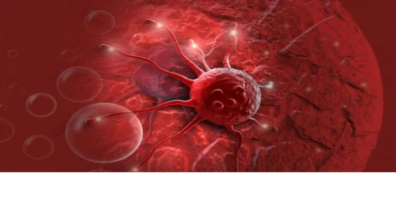 ক্যান্সার চিকিৎসায় গড়ে দেড় কোটি টাকা ব্যয়, সর্বস্বান্ত হচ্ছে