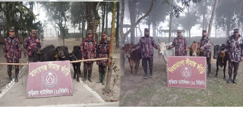 কুড়িগ্রাম সীমান্তে বিজিবির বিশেষ অভিযানে প্রায় ২৯ লাখ টাকার 