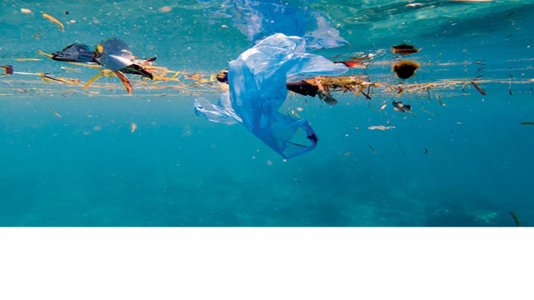 গভীর সমুদ্রে ২ হাজার মিটার গভীরতায়ও মিলেছে প্লাস্টিক