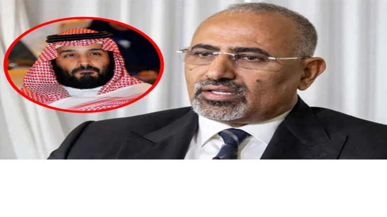 শান্তি আলোচনায় না গিয়ে আমিরাতে গেলেন এসটিসি নেতা আল-জুবাইদি