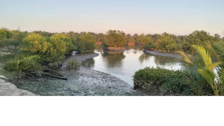 মিয়ানমার সীমান্ত থেকে ছোড়া গুলিতে টেকনাফে জেলে আহত