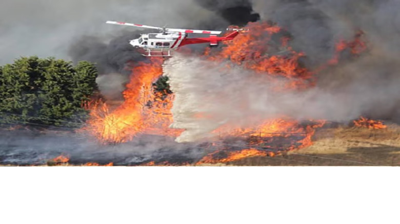 অস্ট্রেলিয়ায় দাবানলে পুড়ল ৩ লাখ হেক্টর বনভূমি