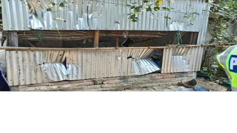 শৈলকূপায় আধিপত্য বিস্তারকে কেন্দ্র করে দুই পক্ষের সংঘর্ষ, আহ