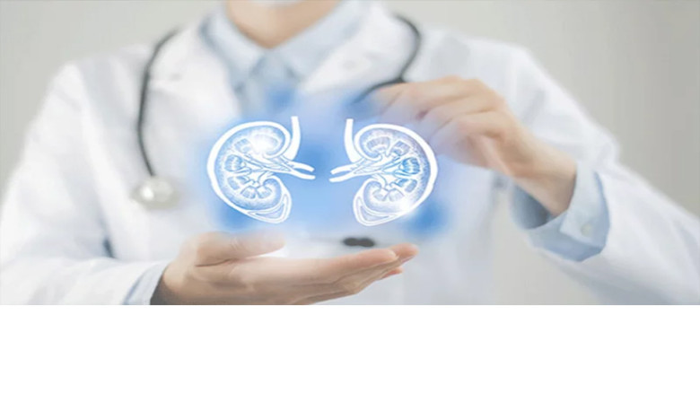 কিডনি সুস্থ রাখতে যেসব ফল রাখুন দৈনন্দিন খাদ্যতালিকায়...