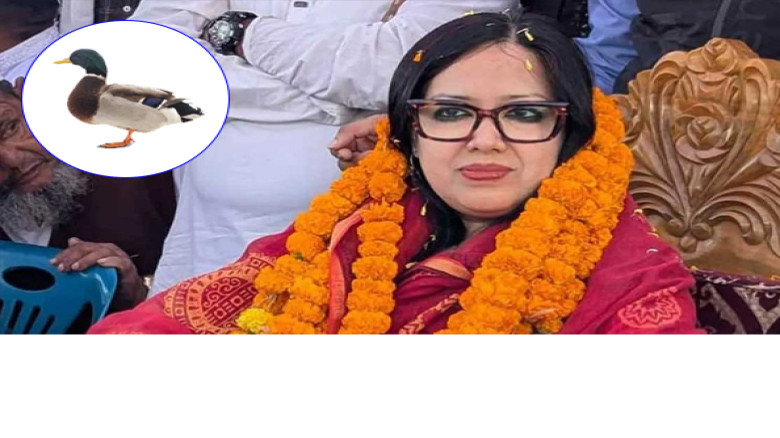স্বতন্ত্র প্রার্থী হিসেবে হাঁস প্রতীক পেলেন রুমিন ফারহানা