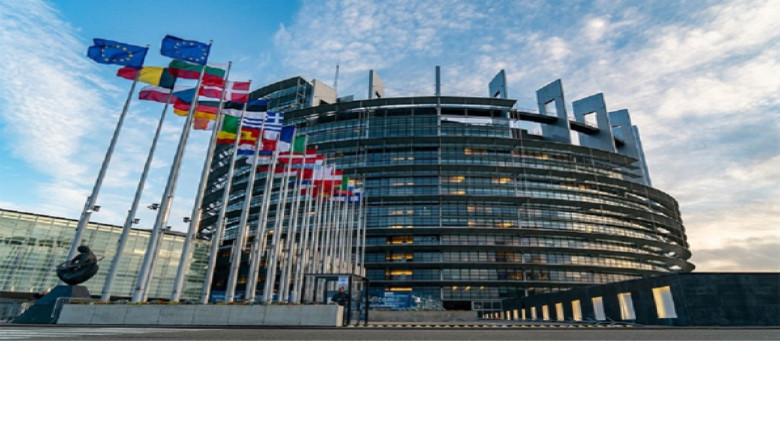 ত্রয়োদশ সংসদ নির্বাচন ঘিরে ইউরোপীয় পার্লামেন্টের প্রতিনিধি দ