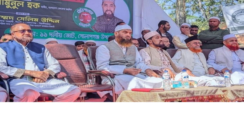 ‘না’ ভোট মানে ফ্যাসিবাদের পক্ষে অবস্থান : মামুনুল হক