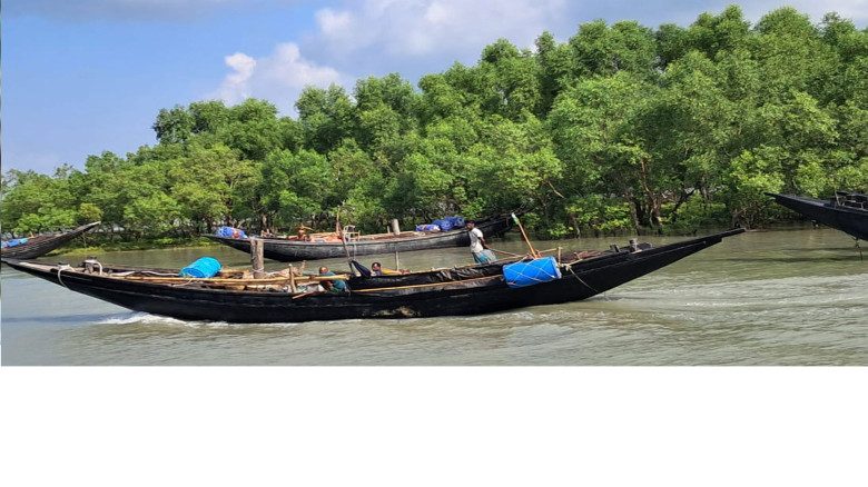 মুক্তিপণ দিয়ে ফিরেছেন ১৪ জেলে, ছয়জন এখনো দস্যুদের কবলে