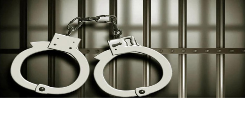 অপরাধ দমনে ডেভিল হান্ট: ঢাকায় এক দিনে ১১ জন আটক