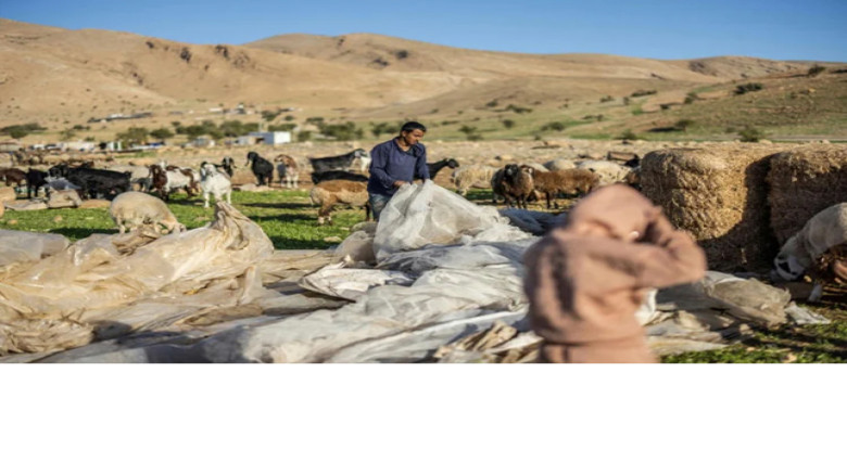 পশ্চিম তীরে বেদুইন শিবিরে উচ্ছেদ আদেশ, বিদেশি সংহতি কর্মী আট