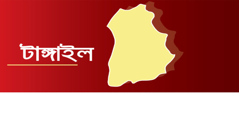 কালিহাতীতে বিএনপি প্রার্থীর মিছিলে হামলা, উত্তপ্ত পরিস্থিতি