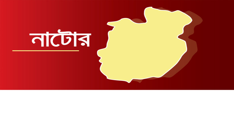 নাটোরে বিএনপি-জামায়াত সংঘর্ষ, আহত বেশ কয়েকজন