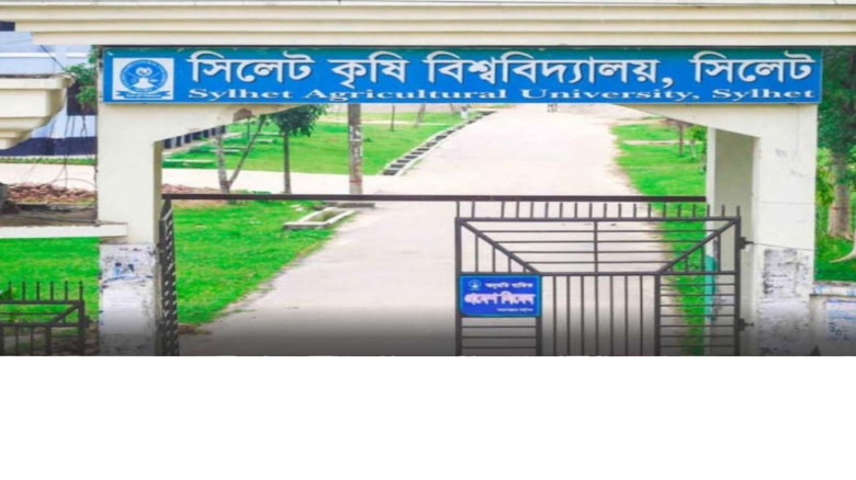 সিলেট কৃষি বিশ্ববিদ্যালয়ে শিক্ষক হামলার অভিযোগ, প্রশাসনের বি