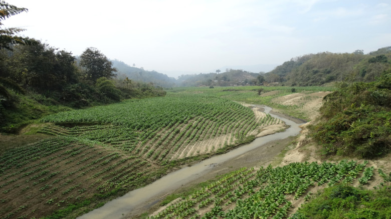 রোয়াংছড়িতে গোলাগুলি: অস্ত্রসহ নিহত এক ব্যক্তি