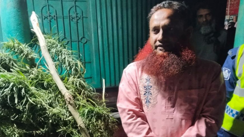 গাঁজা গাছসহ এক সাবেক যুবদল নেতা গ্রেপ্তার