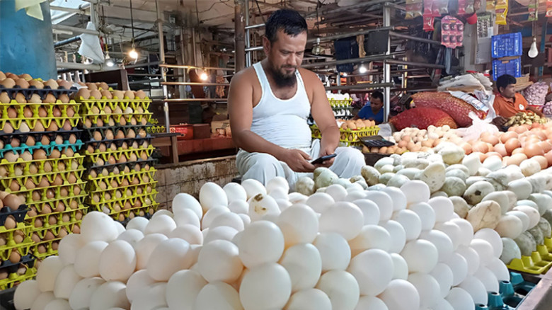 হাঁসের ডিমের দামে ধস, লোকসানে সিংড়ার খামারিরা