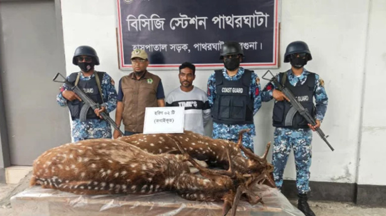 পাথরঘাটায় জবাইকৃত দুই হরিণসহ শিকারি আটক