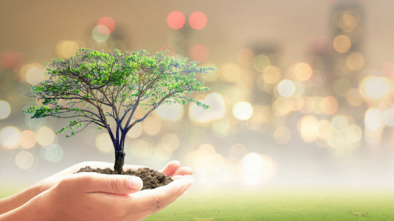 দেশের পরিবেশ রক্ষায় একযোগে ২৫ কোটি গাছ রোপণ কর্মসূচি