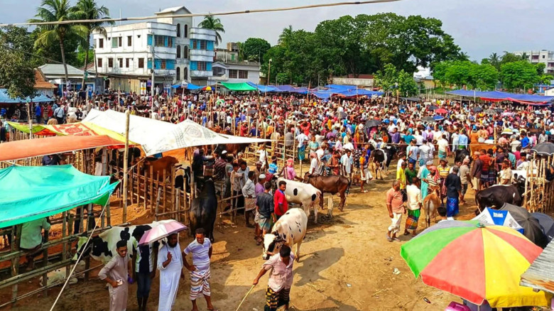 শরৎনগর পশুরহাটে অতিরিক্ত টোল আদায়ের অভিযোগ