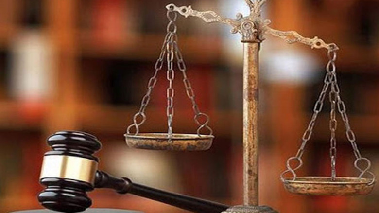 মোহাম্মদপুরে বিড়াল হত্যার ঘটনায় আদালতের রায়, ৬ মাসের জেল...