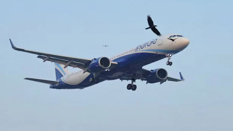 আকাশসীমা সংকটে বড় চাপের মুখে ভারতীয় এয়ারলাইন্স