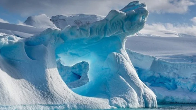 একসময় সবুজ ছিল অ্যান্টার্কটিকা, কীভাবে জমল কোটি বছরের বরফ