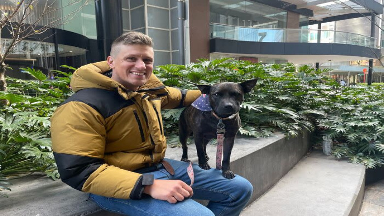 এআই প্রযুক্তিতে কুকুরের ক্যানসার চিকিৎসায় চমক