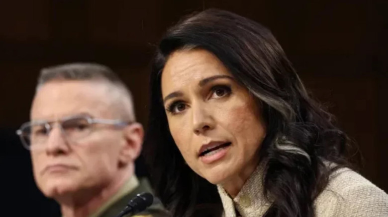 ইরান পরমাণু কর্মসূচি পুনর্গঠনের চেষ্টা করেনি: তুলসী গ্যাবার্