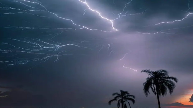 চুয়াডাঙ্গায় বজ্রাঘাতে প্রাণ গেল কিশোর ও যুবকের