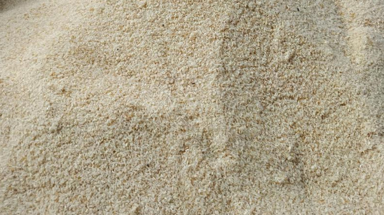 টিসিবির চাল বিতরণে অনিয়ম, পোকা পাওয়ার অভিযোগ