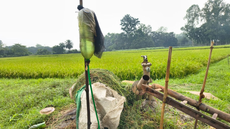 সেচে তীব্র সংকট, ডিজেল না পেয়ে হতাশ কৃষকরা