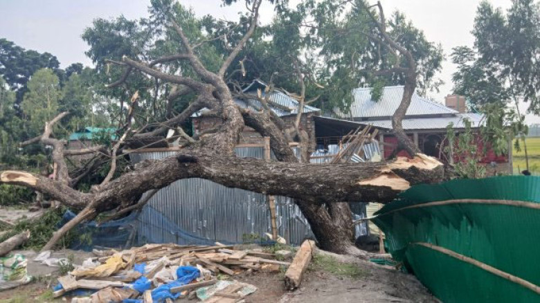 কুড়িগ্রামে কালবৈশাখীর তাণ্ডব: ঘরবাড়ি ও বোরো ধানে ব্যাপক ক্ষত