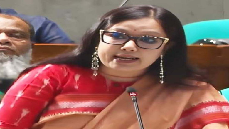 শেয়ারবাজার লুটের বিচার দাবি রুমিন ফারহানার