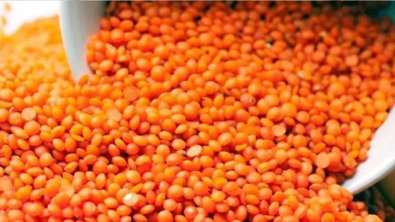 ৭২ কোটি ৫৩ লাখ টাকায় ৯ হাজার টন মসুর ডাল কিনছে সরকার