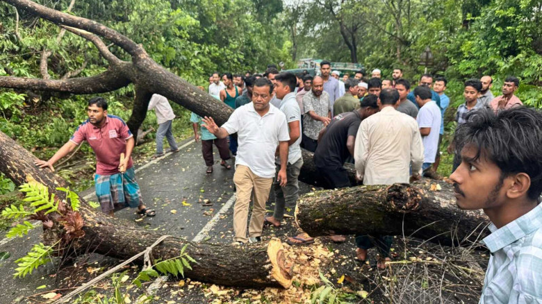 কালবৈশাখীতে লাউয়াছড়ায় গাছ উপড়ে সড়ক যোগাযোগ বিচ্ছিন্ন