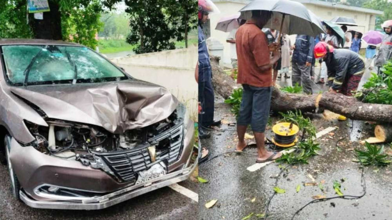 চলন্ত গাড়ির ওপর ভেঙে পড়ল শতবর্ষী আমগাছ, অল্পের জন্য রক্ষা যা