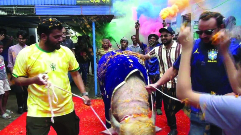লাল গালিচায় রাজকীয় বিদায় পেল ‘ডোনাল্ড ট্রাম্প’ নামের মহিষ