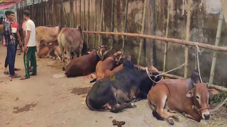 হাটে গরু বাঁধা নিয়ে সংঘর্ষে ব্যবসায়ী নিহত: আশুলিয়ায় চাঞ্চল্য