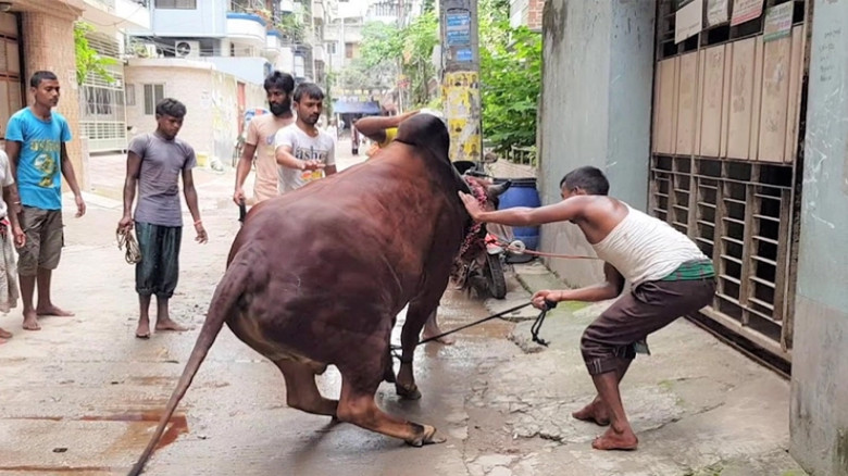 রাজধানীসহ সারাদেশে ঈদের নামাজ শেষে শুরু হয়েছে কোরবানির কার্য