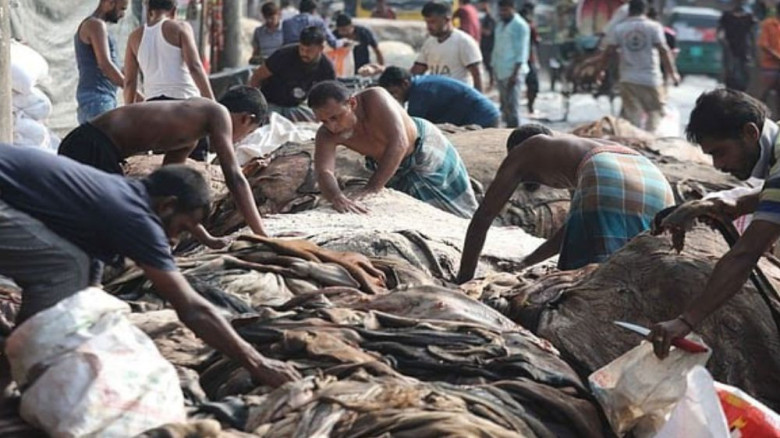 মূলধন হারানোর শঙ্কায় চামড়া ব্যবসায়ীরা