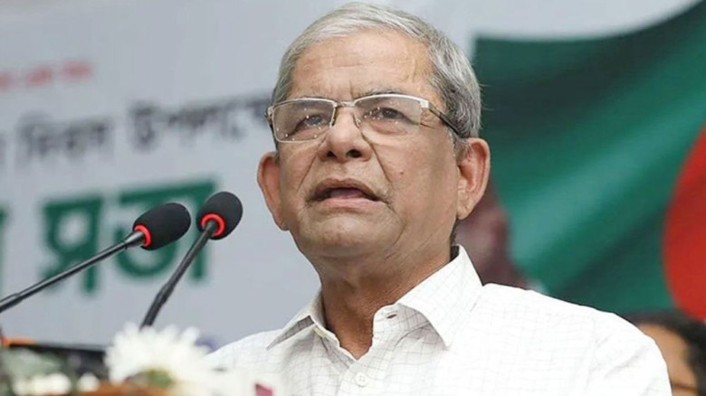 ১৭ বছর দিনটি স্বাভাবিকভাবে পালন করতে পারিনি : মির্জা ফখরুল
