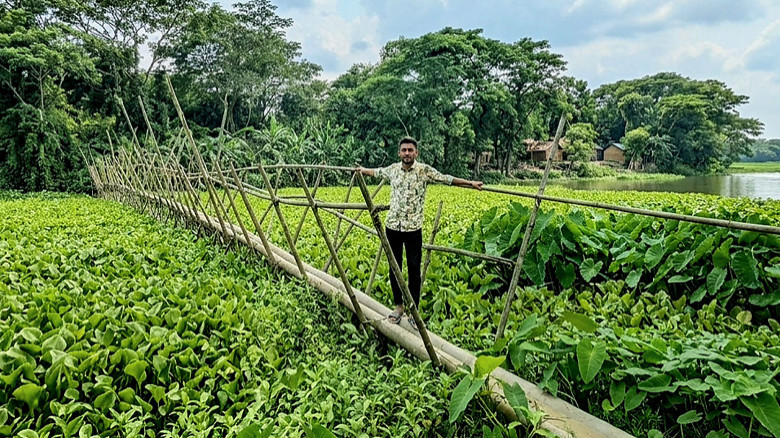 ৫৯ বছরেও হয়নি সেতু, ঝুঁকিপূর্ণ বাঁশের সাঁকোই ভরসা