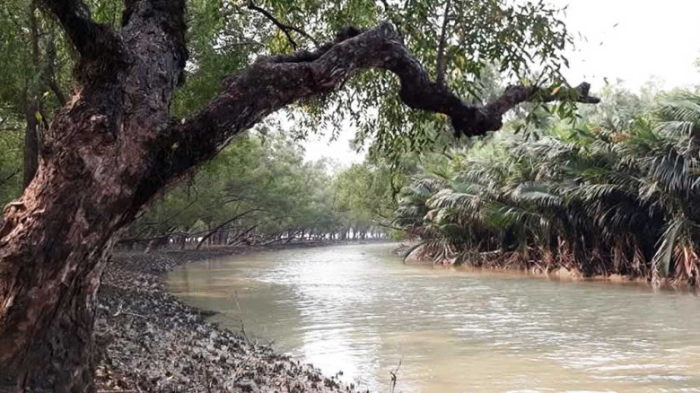 ১ জুন থেকে ৩১ আগস্ট বন্ধ সুন্দরবন, বিপাকে বনজীবীরা
