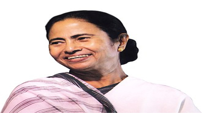 ১৩ দিনের রাজনৈতিক নাটক, তৃণমূলের ভেতরে বড় সংকটের দাবি