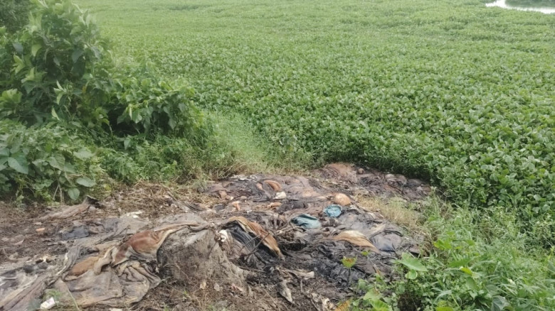 ঈদের ৯ দিন পরও পড়ে আছে চামড়া, পরিবেশ বিপর্যয়ের শঙ্কা