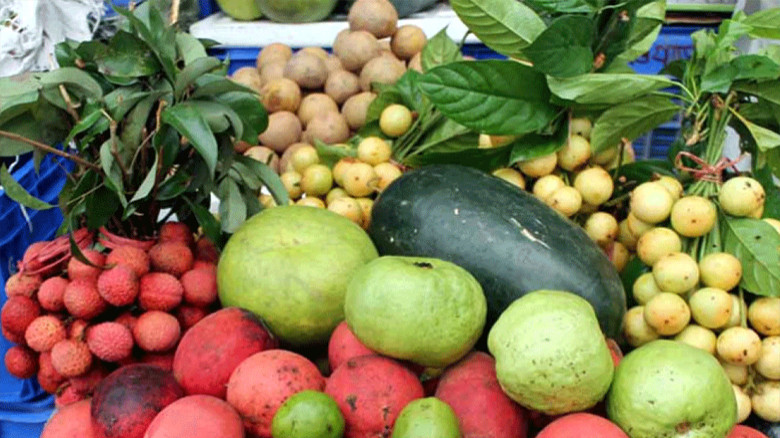 ১১ মাসে ফল রপ্তানি করে ১২ কোটি ৩০ লাখ ডলার আয়