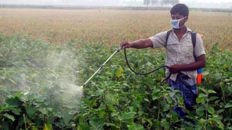 বাজেটে সার ও কীটনাশকের দাম কমবে, স্বস্তিতে কৃষক