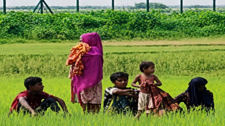 কুড়িগ্রামে রৌমারী সীমান্তে ৬ জনকে পুশইনের চেষ্টা, সতর্ক অবস