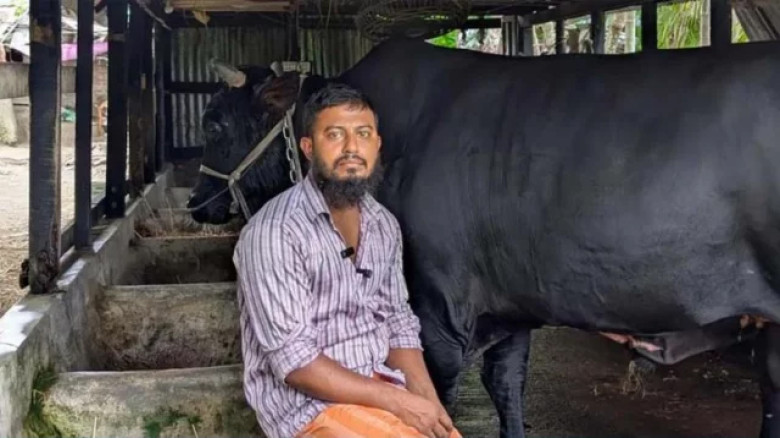 আলোচিত খামারি সোহাগ মৃধা কারাগারে, একাধিক মামলায় গ্রেপ্তার