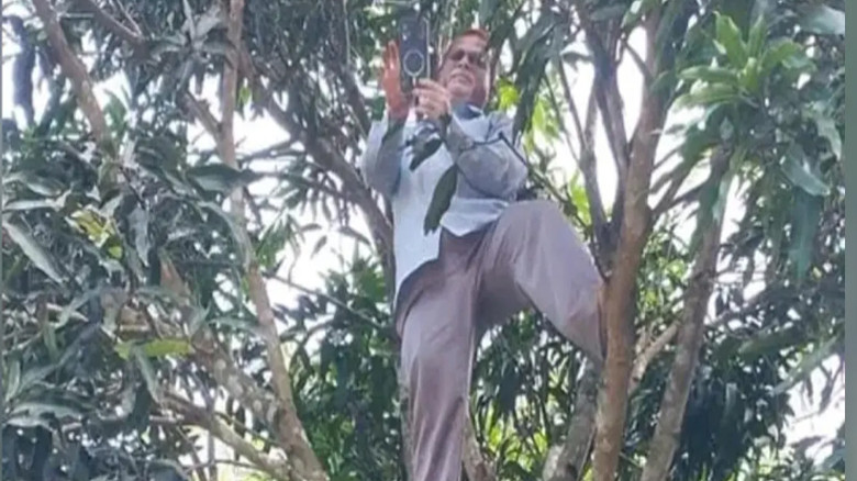 আমগাছে উঠে অনলাইনে হাজিরা দিলেন প্রধান শিক্ষক